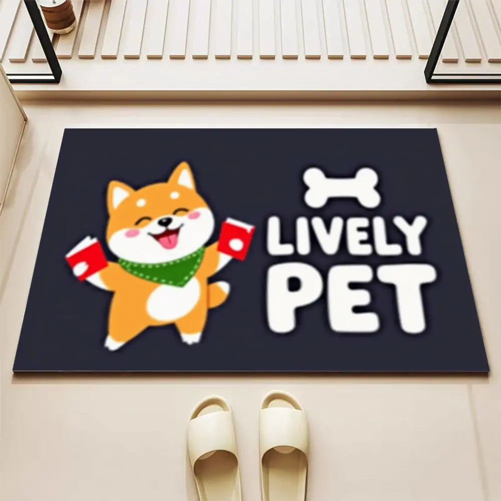 Soft Diatomite Doormat - Comfortable, Non-Slip & Durable Entrance Floor Mat