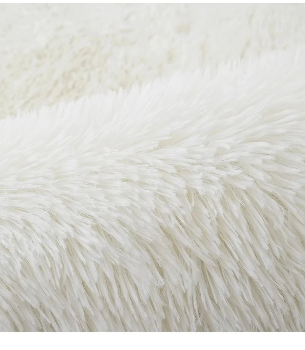 Luxury Plush Rug for Girls Room - Soft & Easy Care Bedside or Living Room Carpet