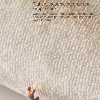 Luxury Washable Doormat - Dirt Resistant & Non-Slip Customizable Entrance Rug